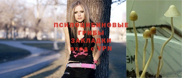 прущая мука Весьегонск