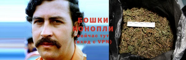 MESCALINE Осинники
