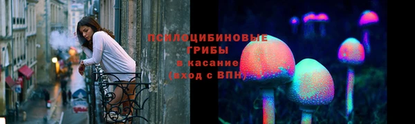 стафф Осташков