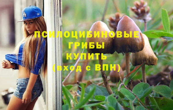 стафф Осташков