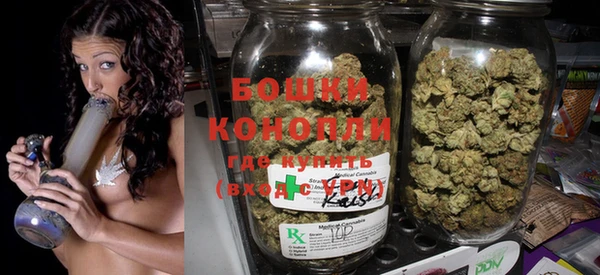 стафф Осташков