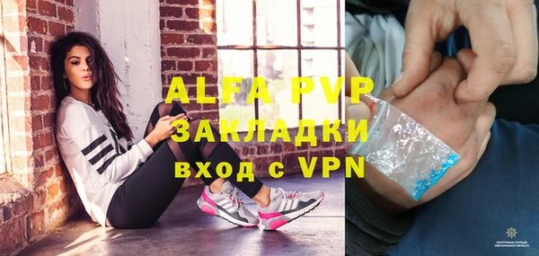 стафф Осташков