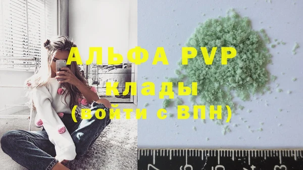 стафф Осташков