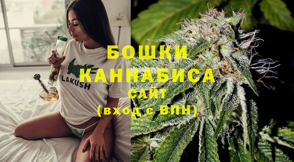 шишки Нязепетровск