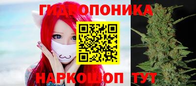 гидропоника Абинск