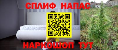 крисы Гай