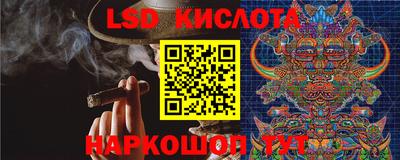 крисы Гай