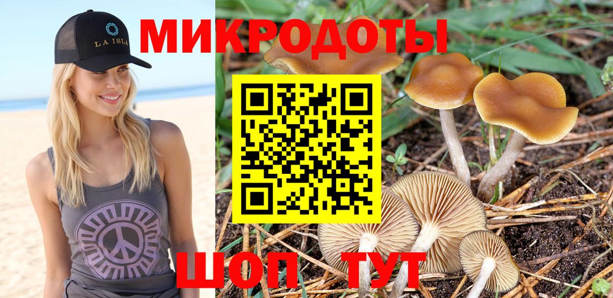 Галлюциногенные грибы Psilocybine cubensis  Вход с VPN  Амурск 