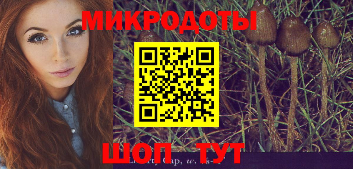 Галлюциногенные грибы прущие грибы Амурск