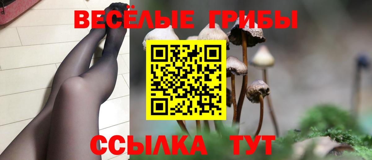 Псилоцибиновые грибы мицелий  Псилоцибиновые грибы GOLDEN TEACHER  Амурск 