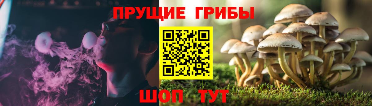 Галлюциногенные грибы Cubensis Амурск